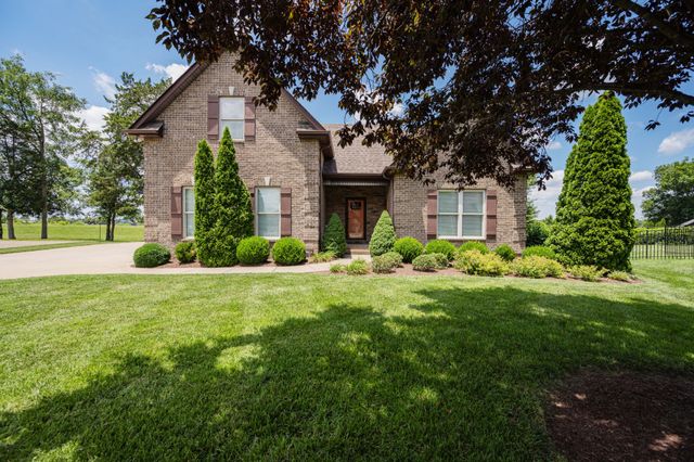 911 Wellspring Ct, Murfreesboro, TN 37130