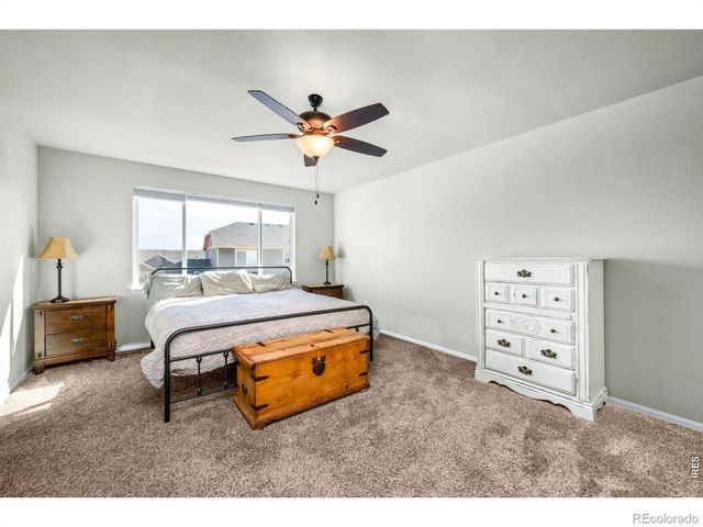 368 Mt Bross Avenue, Severance, CO 80550