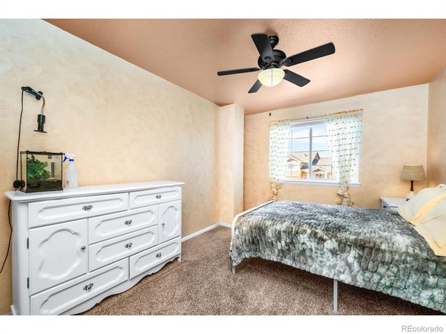 368 Mt Bross Avenue, Severance, CO 80550