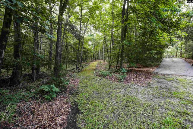 412 Murray Lindler Road, Chapin, SC 29036