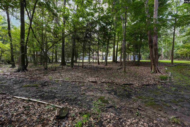 412 Murray Lindler Road, Chapin, SC 29036