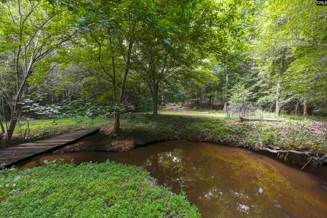 412 Murray Lindler Road, Chapin, SC 29036