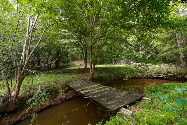 412 Murray Lindler Road, Chapin, SC 29036
