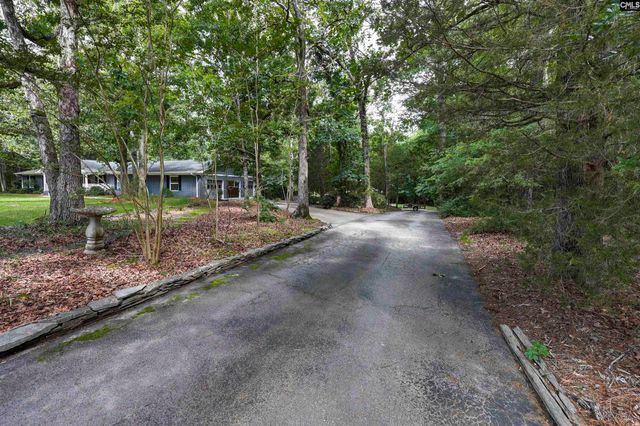 412 Murray Lindler Road, Chapin, SC 29036