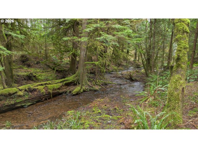 40401 Ne MILLER Rd, Washougal, WA 98671