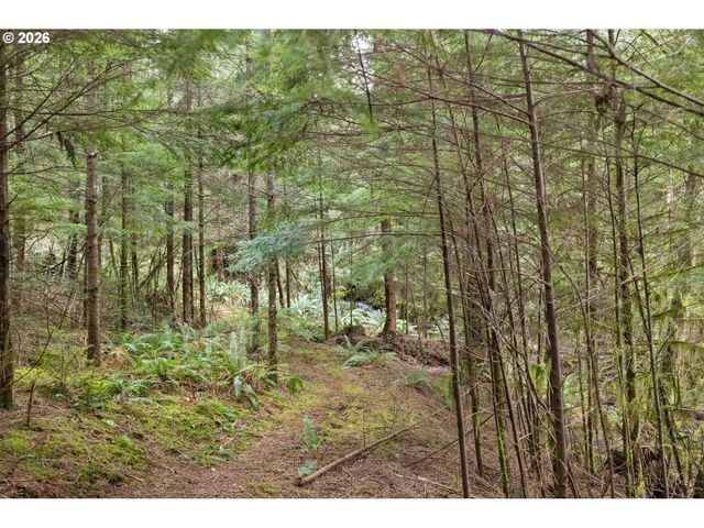 40401 Ne MILLER Rd, Washougal, WA 98671