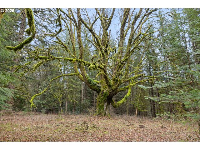 40401 Ne MILLER Rd, Washougal, WA 98671