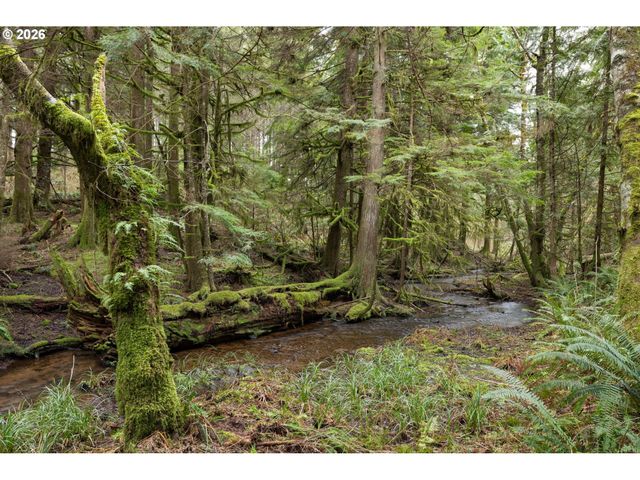 40401 Ne MILLER Rd, Washougal, WA 98671