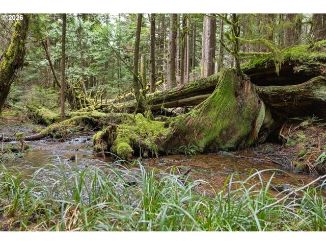 40401 Ne MILLER Rd, Washougal, WA 98671