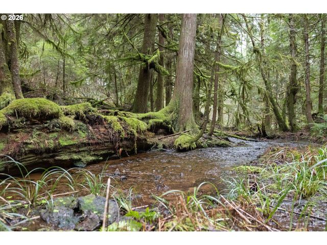 40401 Ne MILLER Rd, Washougal, WA 98671