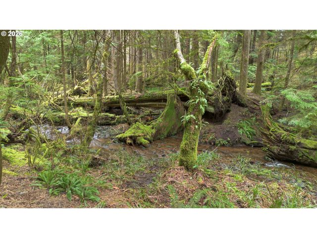 40401 Ne MILLER Rd, Washougal, WA 98671