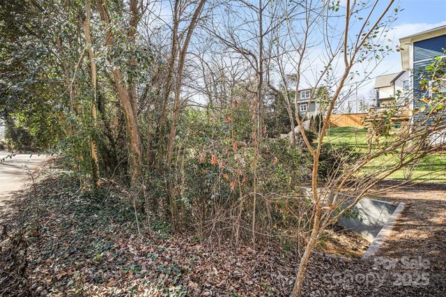 1341 Mulberry Avenue, Charlotte, NC 28216