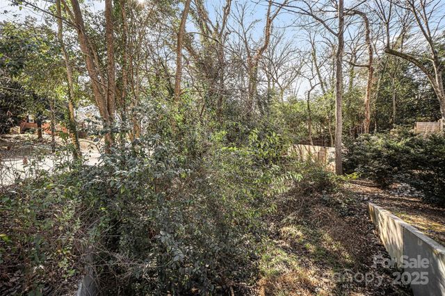 1341 Mulberry Avenue, Charlotte, NC 28216