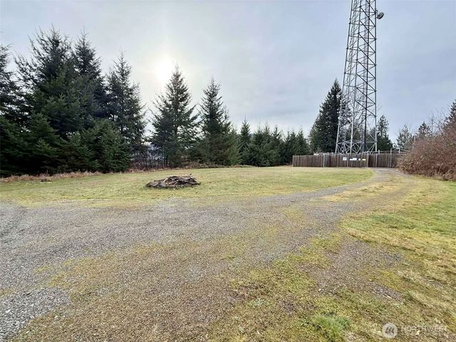 384 Peters Road, Randle, WA 98377