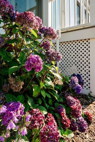 4 Longfellow St, Beverly, MA 01915