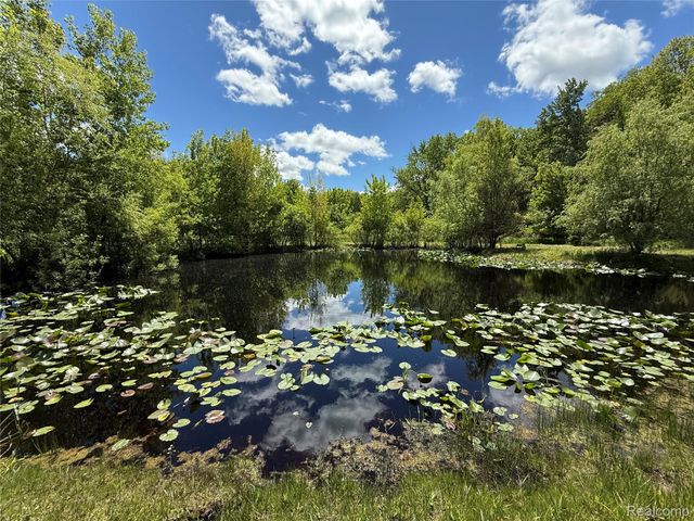 7333 Toma Road, Dexter Township, MI 48130
