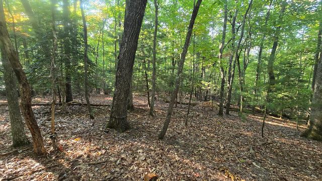 10 Acres Mt Pleasant Church, Blairsville, GA 30512