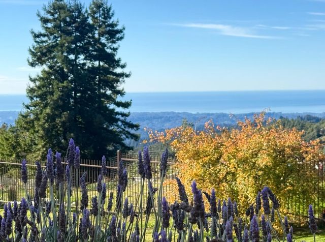 1061 Summit Road, Watsonville, CA 95076