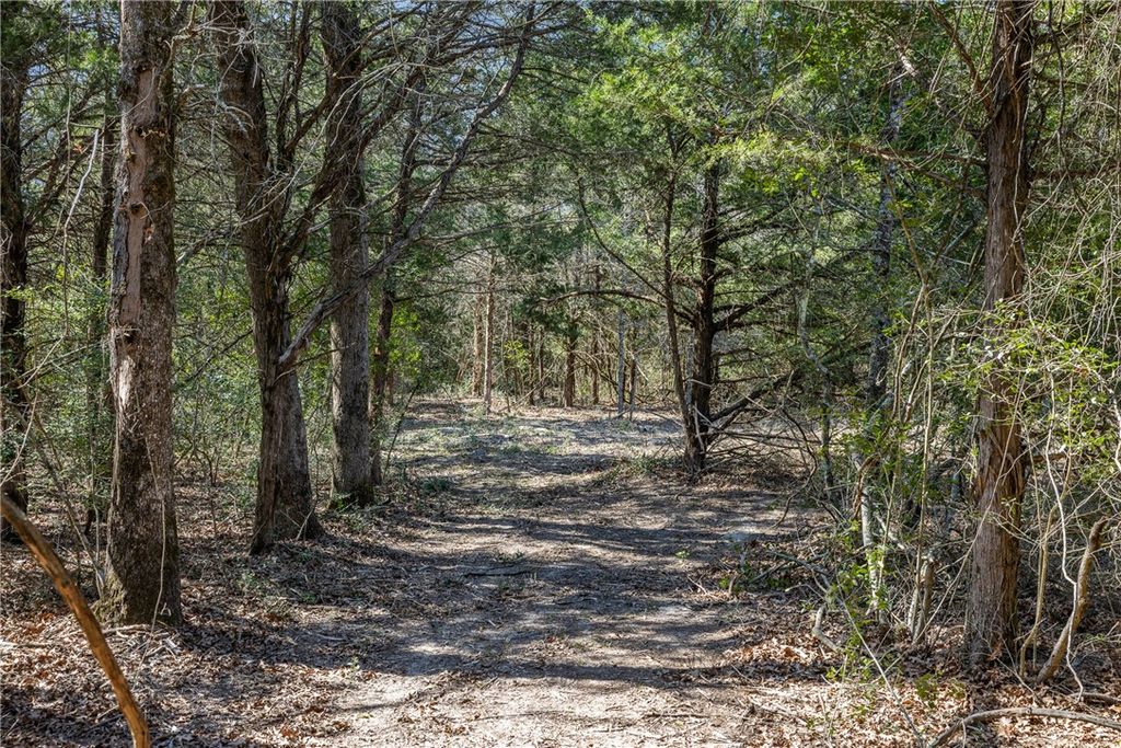 Lot 2 (4.81 Acres) Pauline Lane, Caldwell, TX 77836 — photo 2