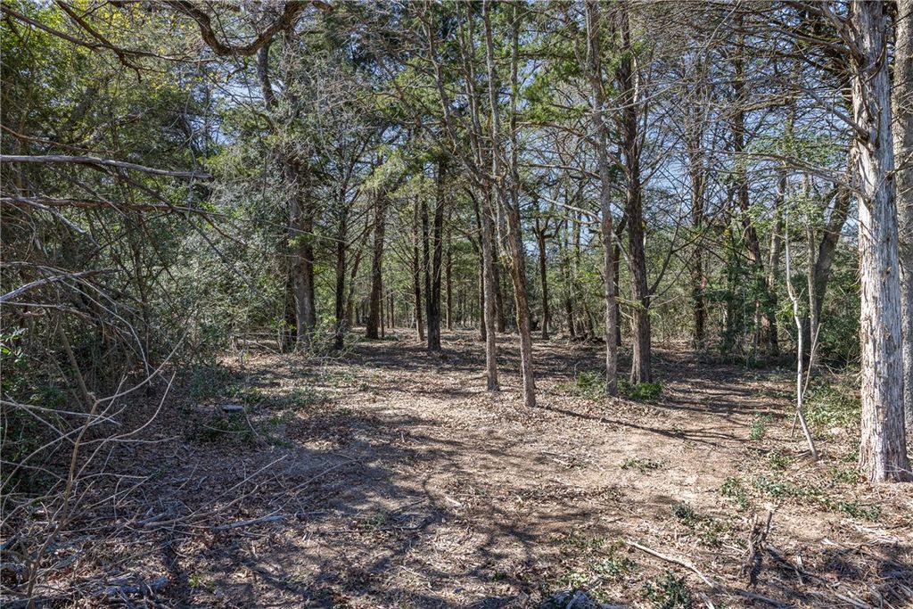 Lot 2 (4.81 Acres) Pauline Lane, Caldwell, TX 77836 — photo 3