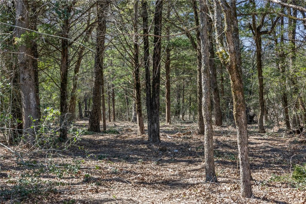 Lot 2 (4.81 Acres) Pauline Lane, Caldwell, TX 77836 — photo 4