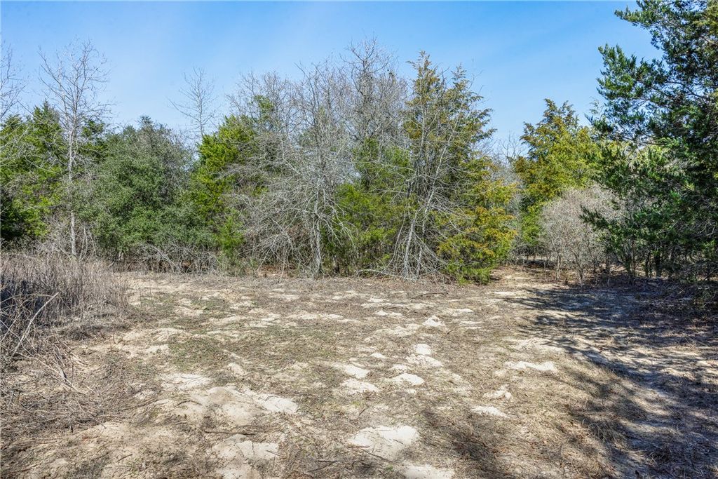Lot 2 (4.81 Acres) Pauline Lane, Caldwell, TX 77836 — photo 5