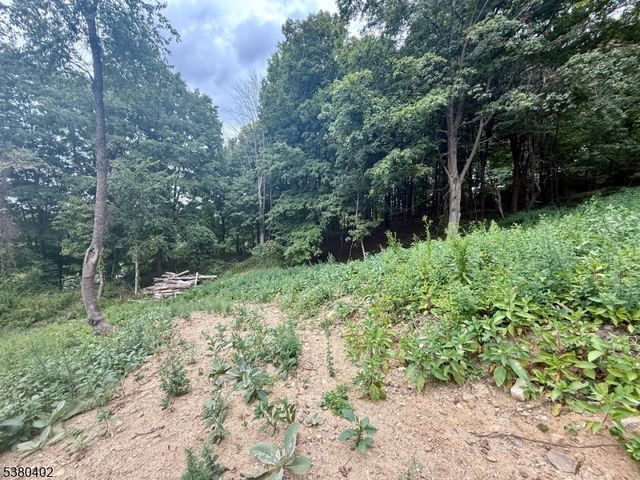 109 Munsonhurst Rd, Franklin Boro, NJ 07416