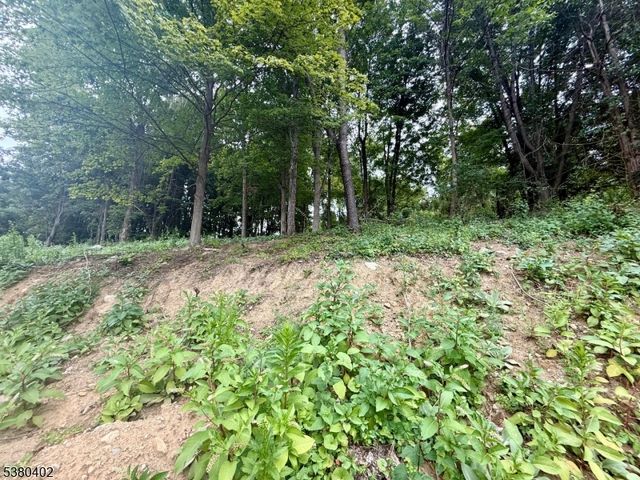 109 Munsonhurst Rd, Franklin Boro, NJ 07416