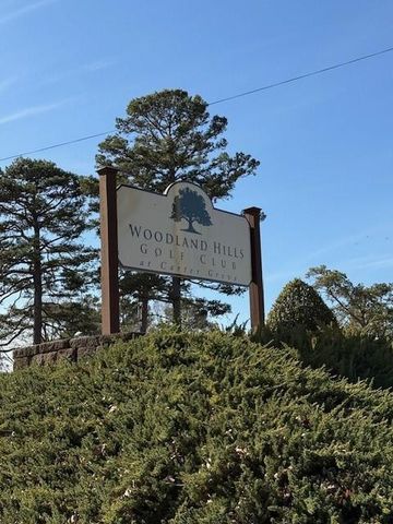 129 Summit Ridge SE Drive, Cartersville, GA 30120