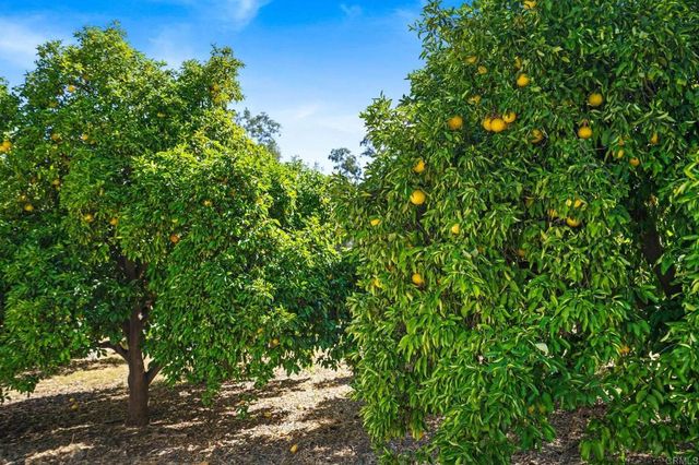 13511 Hilldale Road, Valley Center, CA 92082