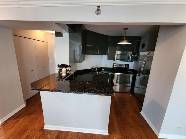 195 N Harbor Drive 3807, Chicago, IL 60601