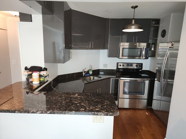 195 N Harbor Drive 3807, Chicago, IL 60601