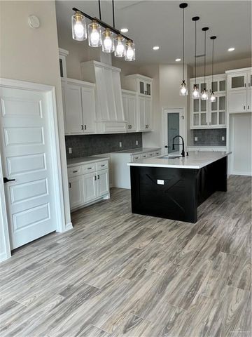 2413 N Venice N Avenue, Edinburg, TX 78542