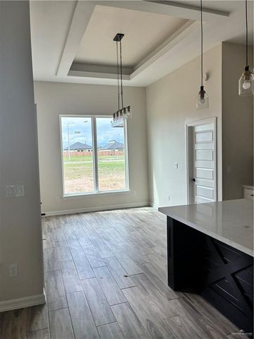 2413 N Venice N Avenue, Edinburg, TX 78542