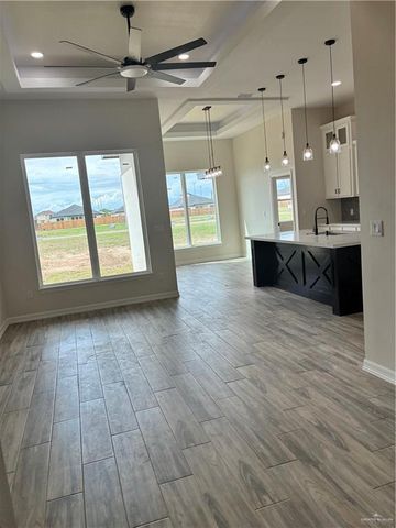 2413 N Venice N Avenue, Edinburg, TX 78542