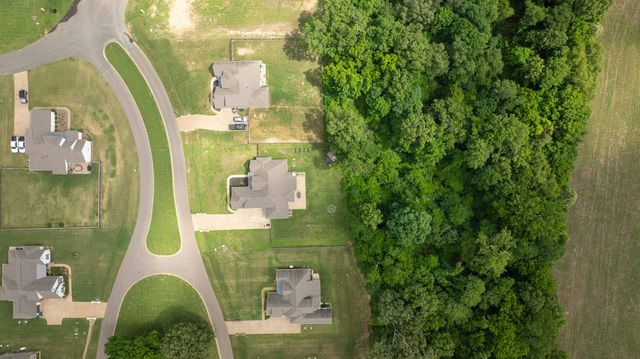 55 MADELINE BLVD, Piperton, TN 38017