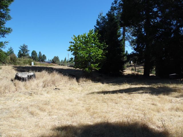 10006 Wendell Rd, Mountain Ranch, CA 95246