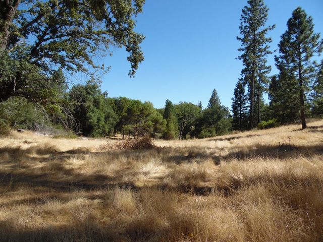 10006 Wendell Rd, Mountain Ranch, CA 95246