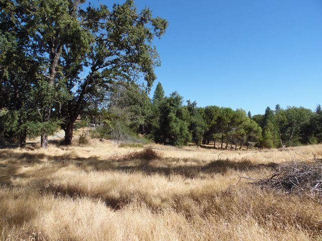 10006 Wendell Rd, Mountain Ranch, CA 95246