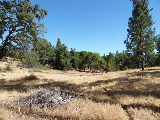 10006 Wendell Rd, Mountain Ranch, CA 95246