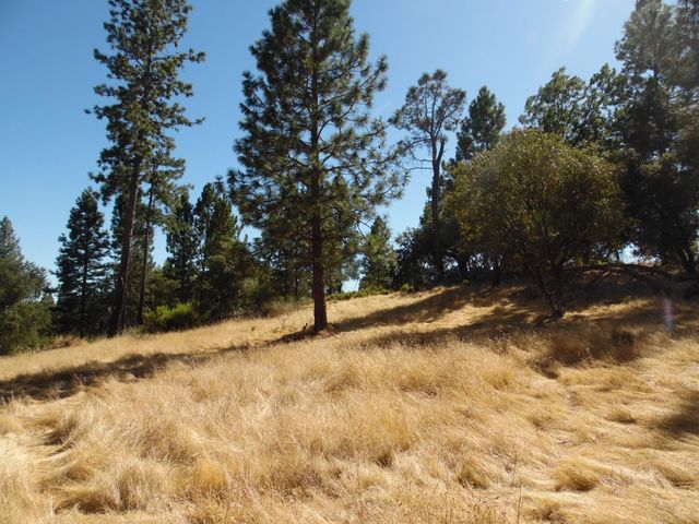 10006 Wendell Rd, Mountain Ranch, CA 95246