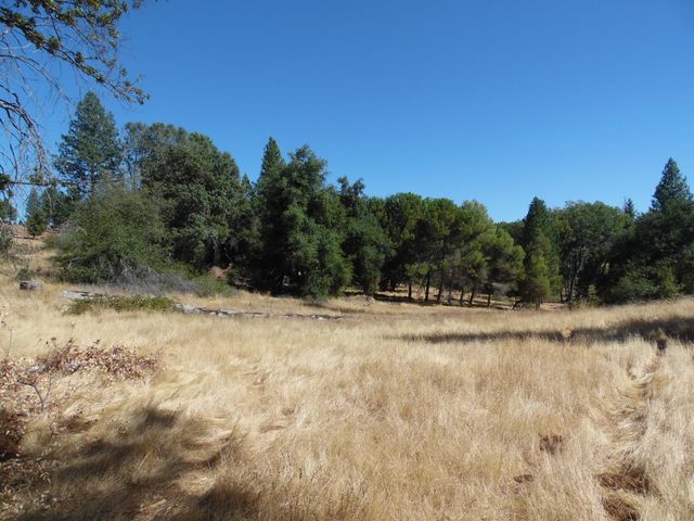 10006 Wendell Rd, Mountain Ranch, CA 95246
