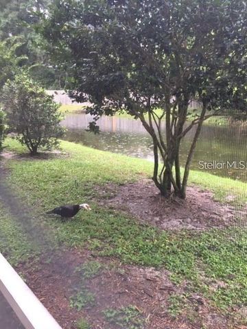 4134 BISMARCK PALM DRIVE, Tampa, FL 33610