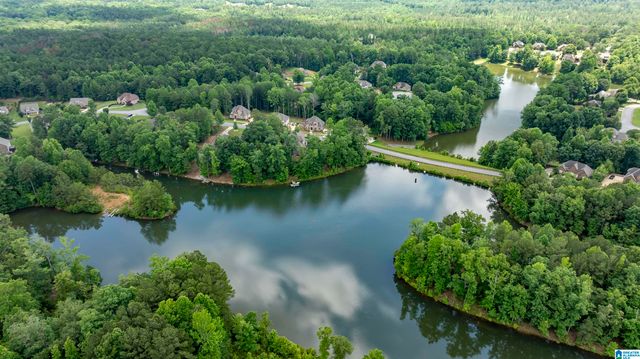581 WHITE TAIL RUN, Chelsea, AL 35043