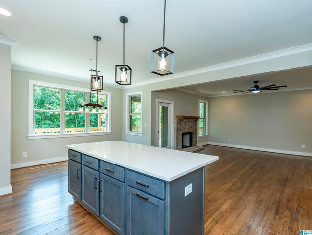 581 WHITE TAIL RUN, Chelsea, AL 35043