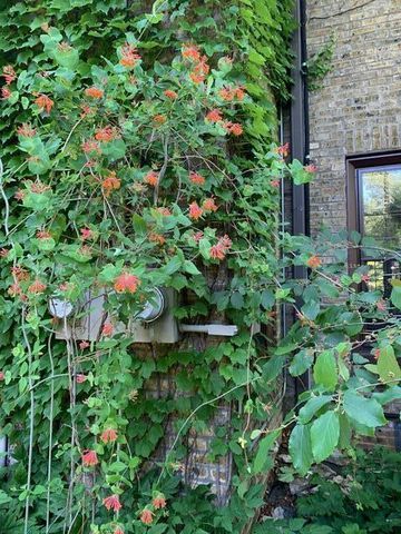 3467 N Frederick AVENUE, Milwaukee, WI 53211