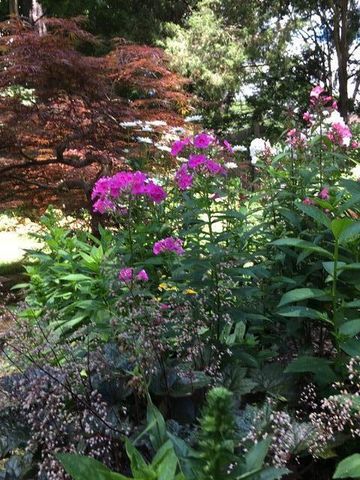 3467 N Frederick AVENUE, Milwaukee, WI 53211