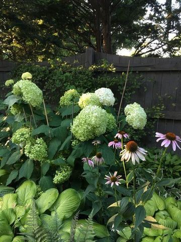 3467 N Frederick AVENUE, Milwaukee, WI 53211