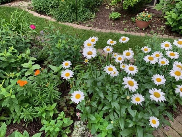 3467 N Frederick AVENUE, Milwaukee, WI 53211