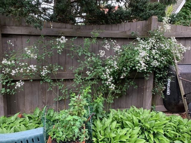 3467 N Frederick AVENUE, Milwaukee, WI 53211